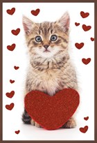 valentijn kaart poes hart chocolade